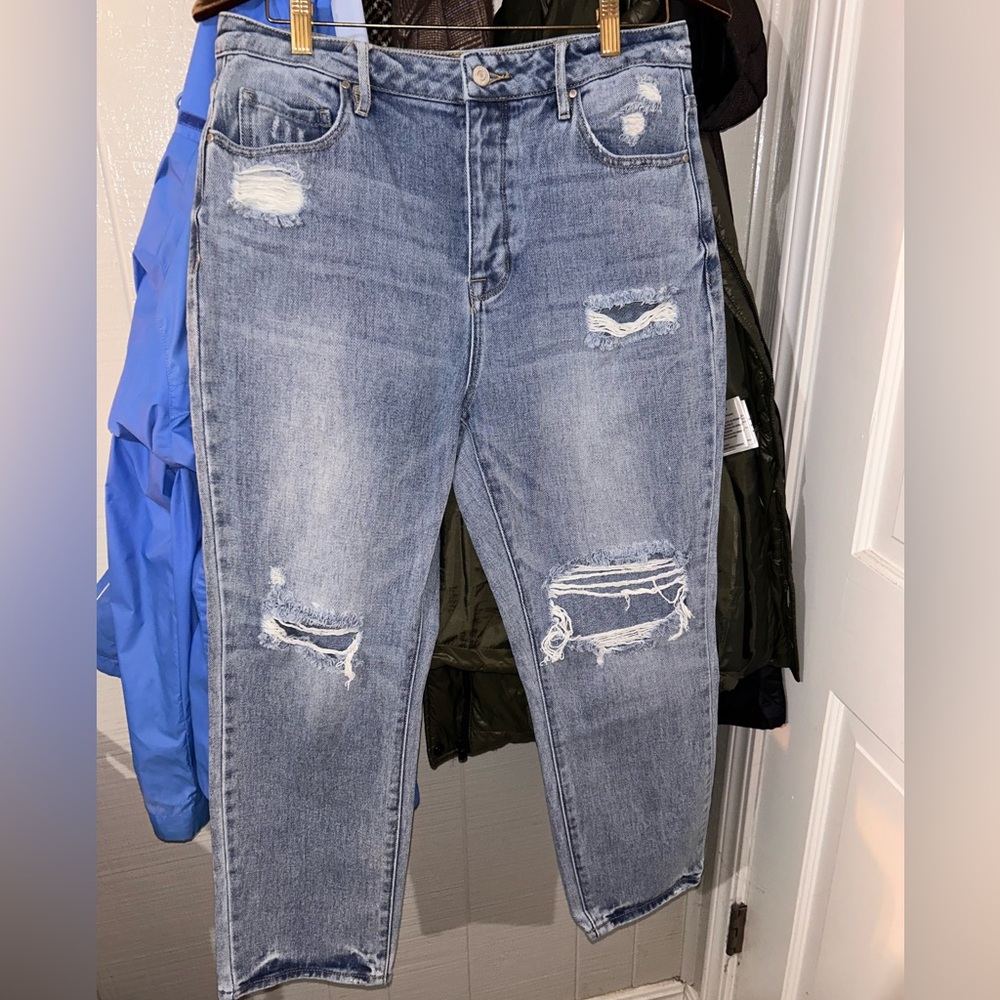 PacSun Light Blue Crop Length Mom Jeans